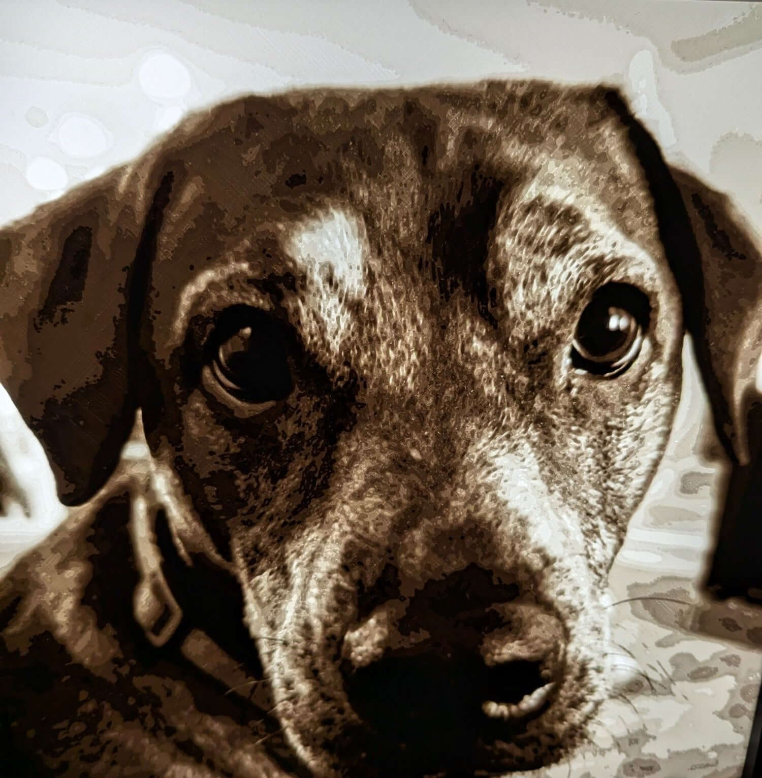 Radiant Illuminations