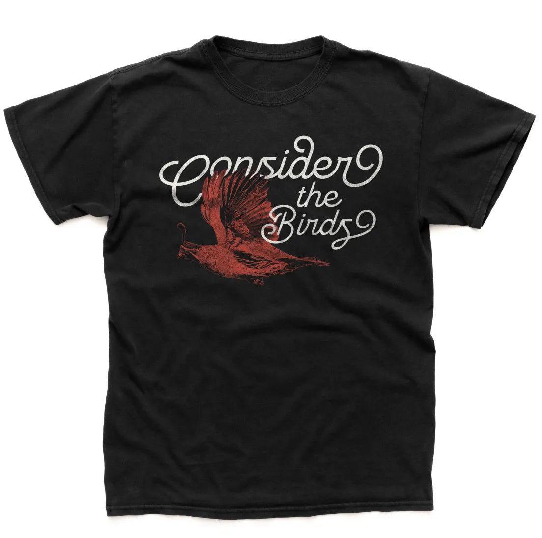 Song of the Gambel Tee – Consider the Birds Limited Series
