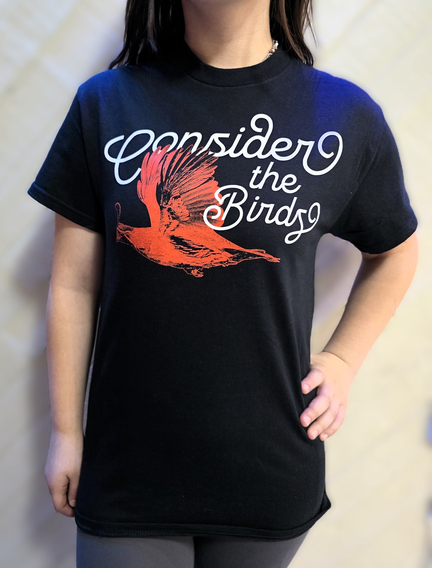 Song of the Gambel Tee – Consider the Birds Limited Series