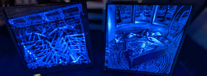 2025 Folsom Field Collection -  Illuminated Stash Project